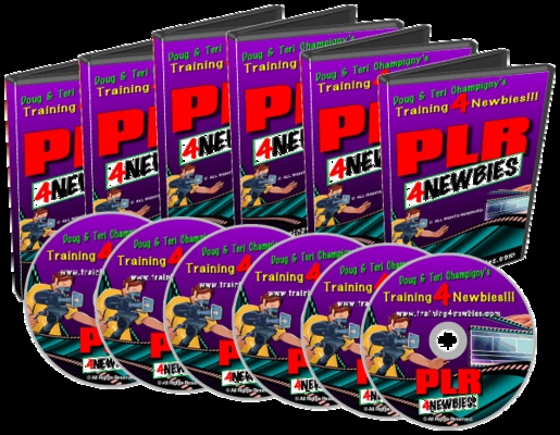 Product picture PLR for Newbies Video - Earn More Money